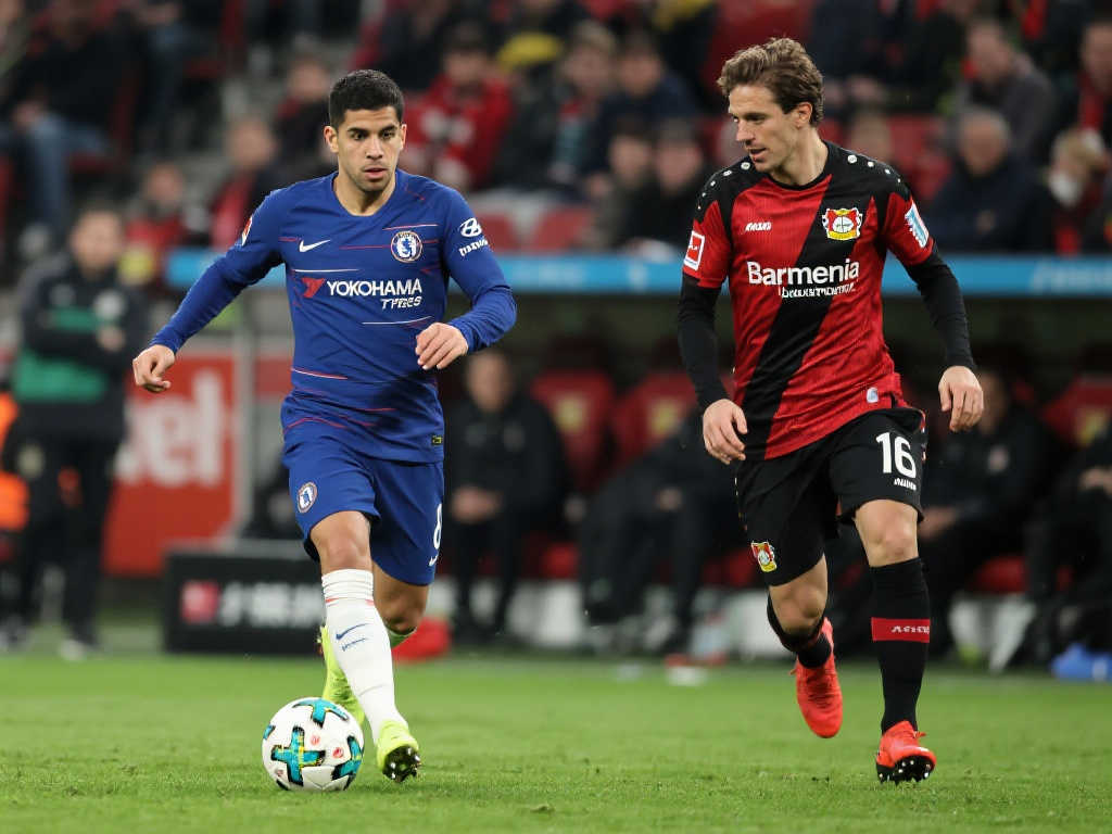 的阵容搭配 的阵容搭配